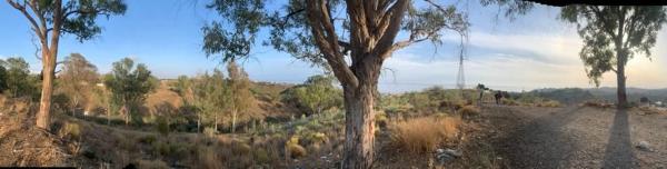 Terreno en Benajarafe