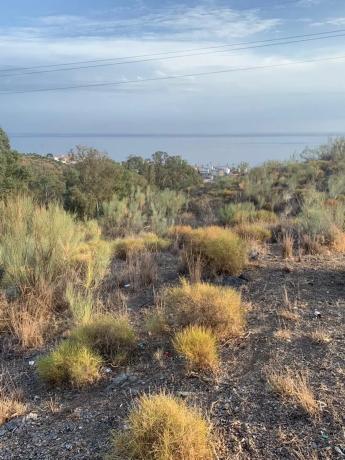 Terreno en Benajarafe