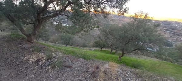 Terreno en Benajarafe