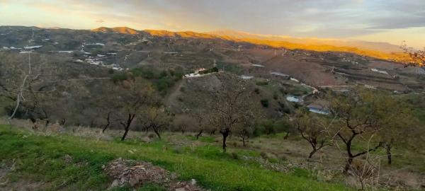 Terreno en Benajarafe