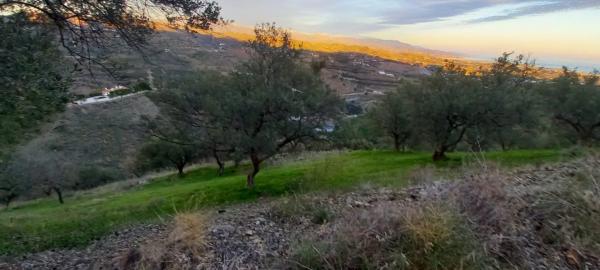 Terreno en Benajarafe