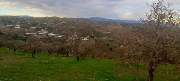 Terreno en Benajarafe