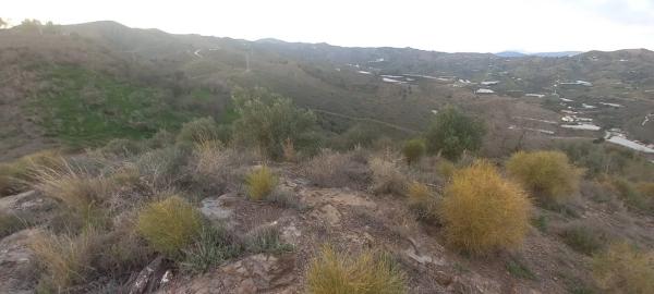 Terreno en Benajarafe