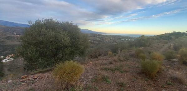Terreno en Benajarafe