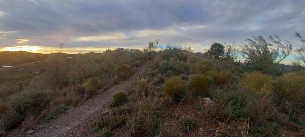 Terreno en Benajarafe