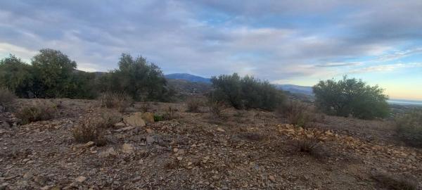 Terreno en Benajarafe