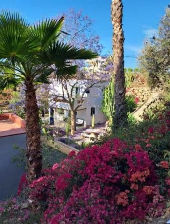 Terreno en Urbanización la Sirena, 144