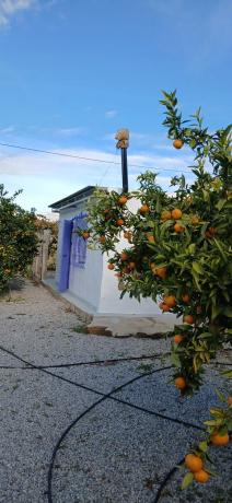 Terreno en camino del Castañar s/n