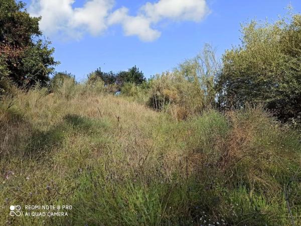 Terreno en Benamocarra