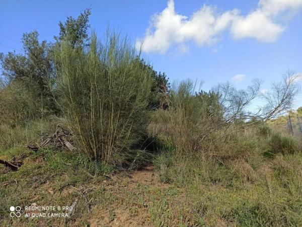Terreno en Benamocarra