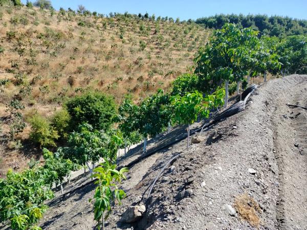 Terreno en Diseminado Diseminados