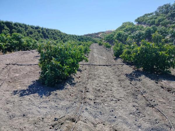 Terreno en Diseminado Diseminados