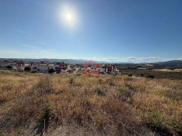 Terreno en avenida Palmeras de Baviera