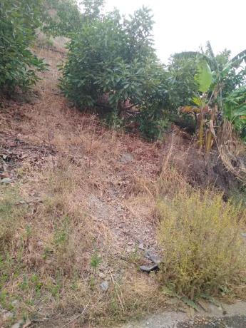 Terreno en carretera canillas de aceituno s/n