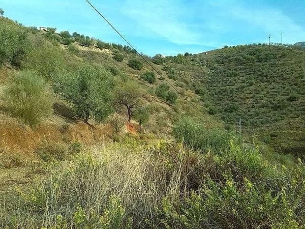 Terreno en Canillas de Aceituno