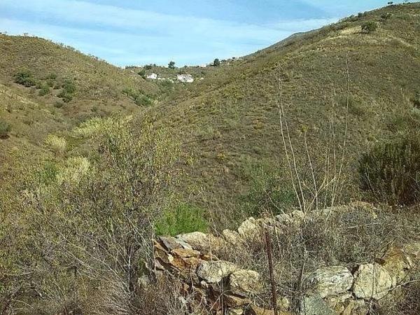 Terreno en Canillas de Aceituno