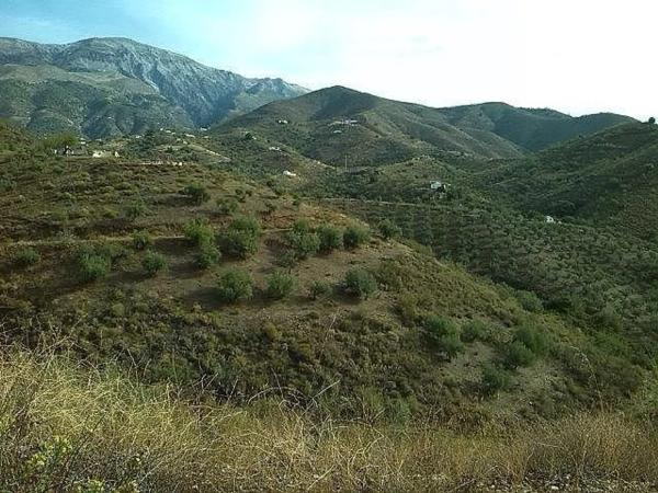 Terreno en Canillas de Aceituno