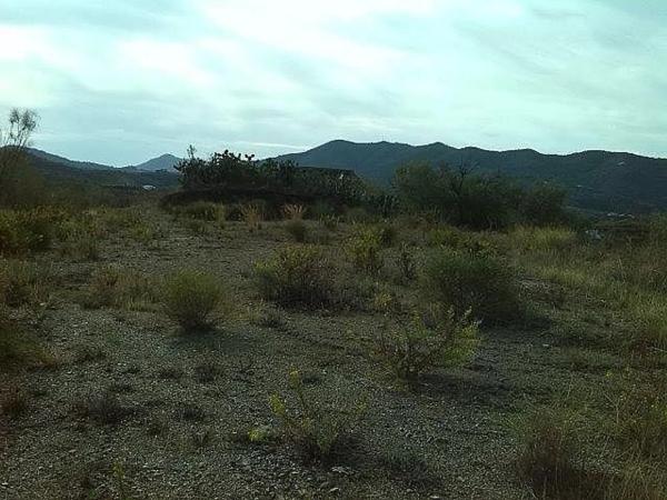 Terreno en Canillas de Aceituno
