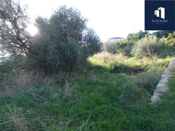 Terreno en Canillas de Aceituno