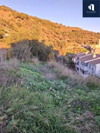 Terreno en Canillas de Aceituno