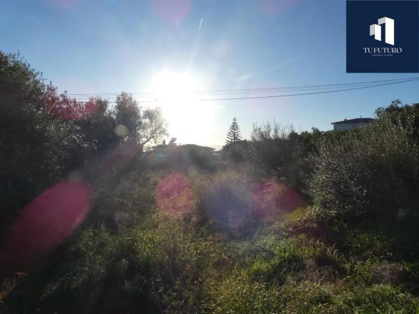 Terreno en Canillas de Aceituno