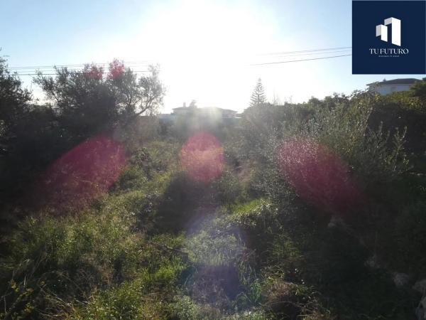 Terreno en Canillas de Aceituno