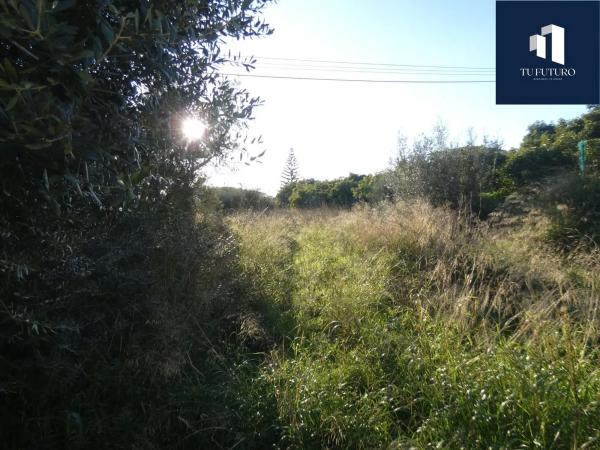 Terreno en Canillas de Aceituno