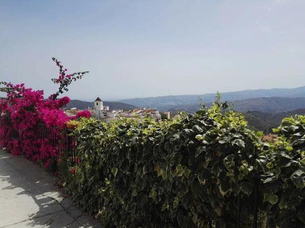 Terreno en convento s/n