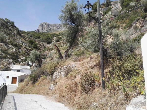 Terreno en convento s/n