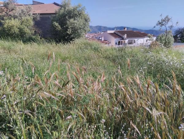 Terreno en camino del Nicar, 19