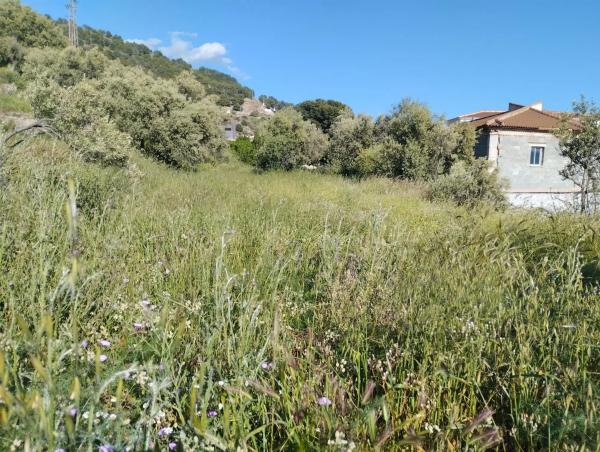 Terreno en camino del Nicar, 19