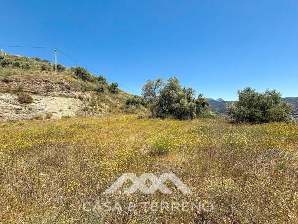 Terreno en vereda de los Eriales