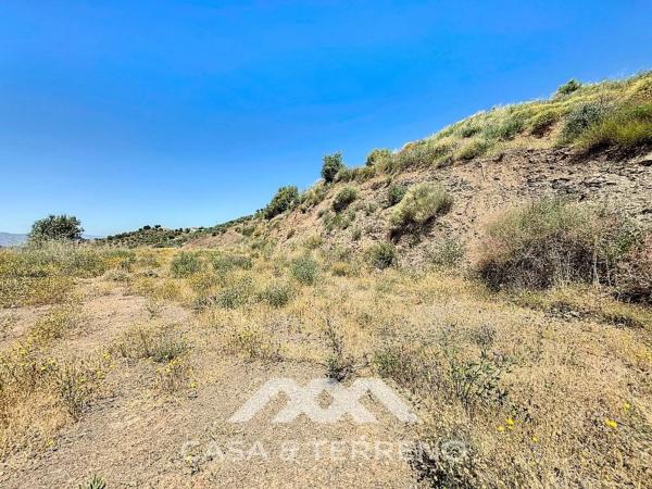 Terreno en vereda de los Eriales