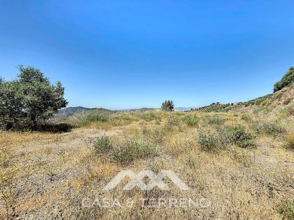 Terreno en vereda de los Eriales