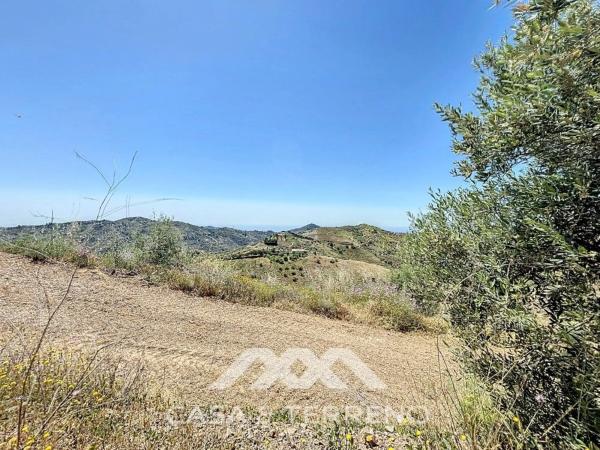 Terreno en vereda de los Eriales