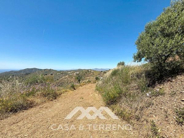 Terreno en vereda de los Eriales