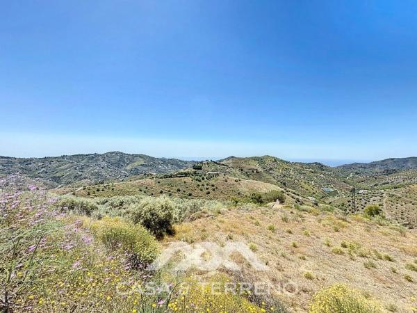 Terreno en vereda de los Eriales