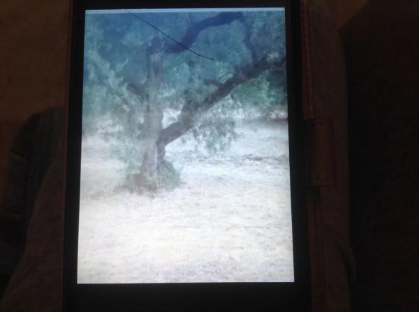 Terreno en carretera 187 s/n