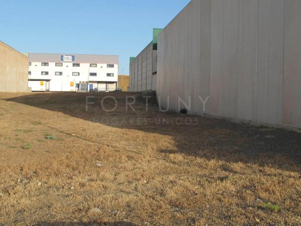 Terreno en calle Miguel Hernández s/n