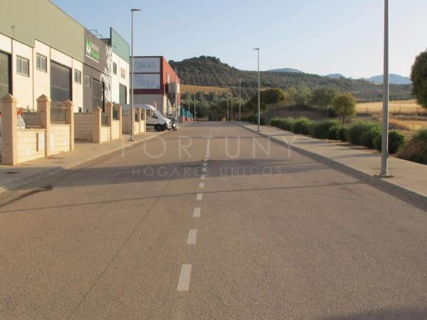 Terreno en calle Miguel Hernández s/n