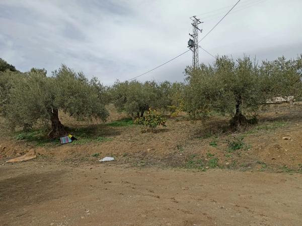 Terreno en carretera de Casabermeja s/n