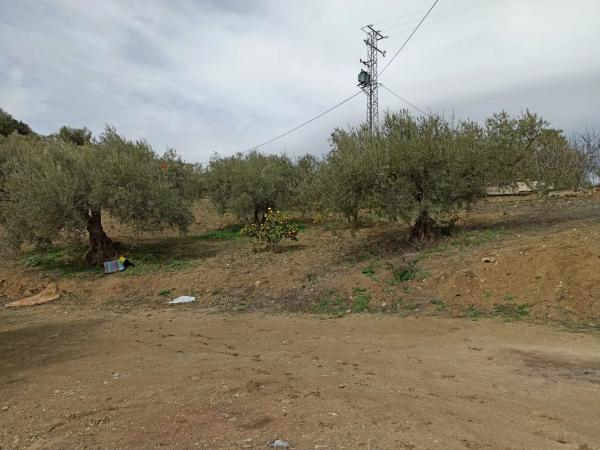 Terreno en carretera de Casabermeja s/n