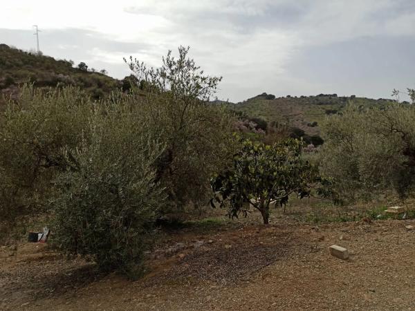 Terreno en carretera de Casabermeja s/n