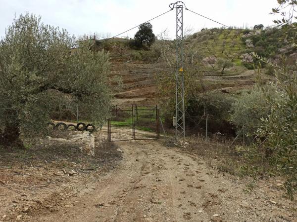 Terreno en carretera de Casabermeja s/n