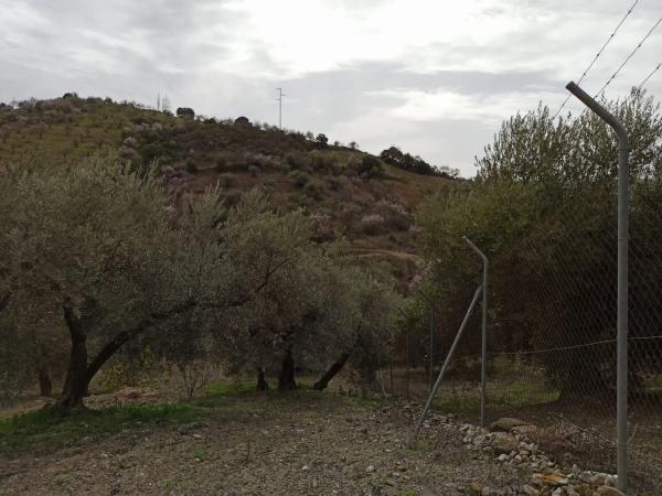 Terreno en carretera de Casabermeja s/n