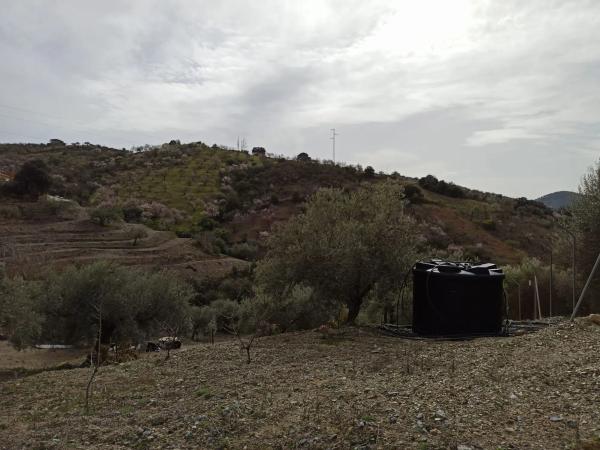 Terreno en carretera de Casabermeja s/n