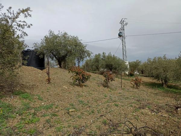 Terreno en carretera de Casabermeja s/n