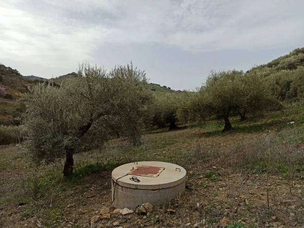 Terreno en carretera de Casabermeja s/n