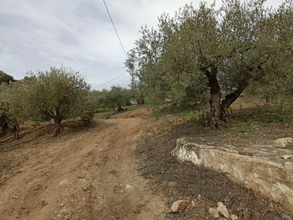 Terreno en carretera de Casabermeja s/n