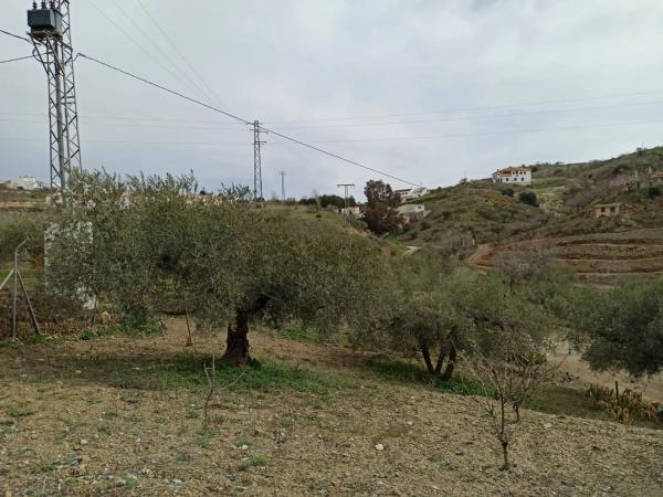Terreno en carretera de Casabermeja s/n